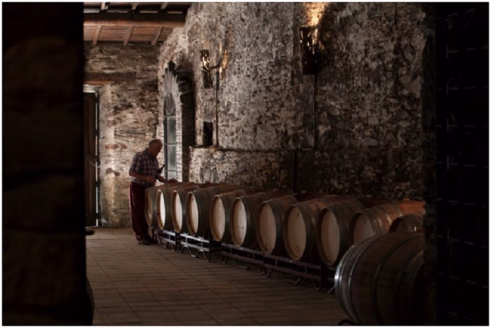 Bodega Joaquín Rebolledo