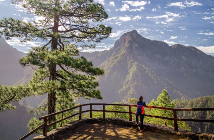 La Palma. La Isla Bonita